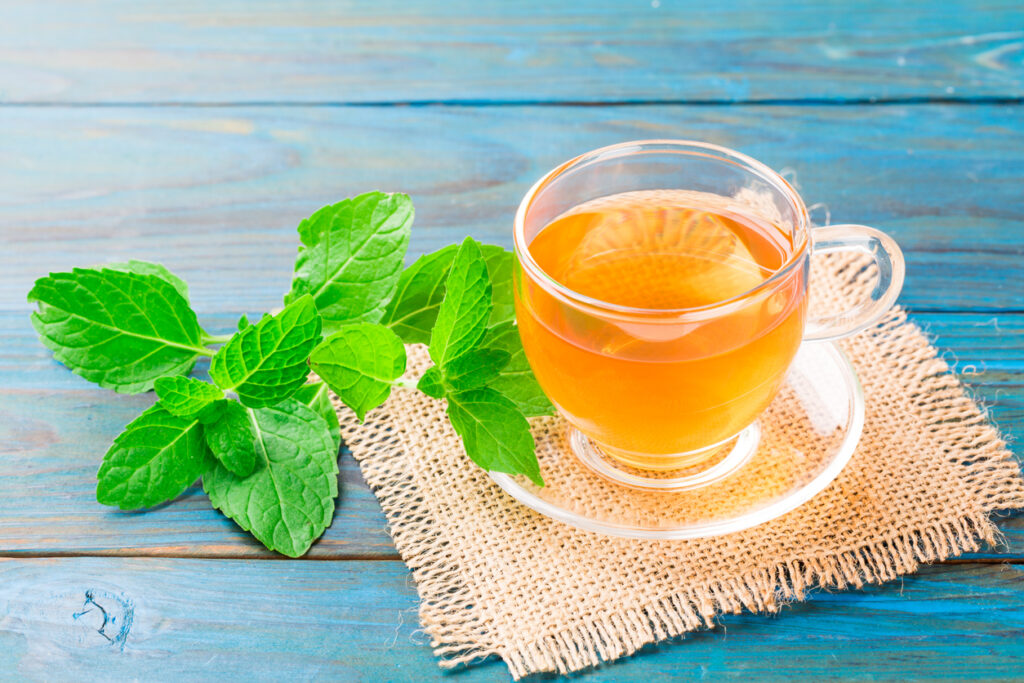 Fresh peppermint tea herbal tea to soothe gut inflammatory pain